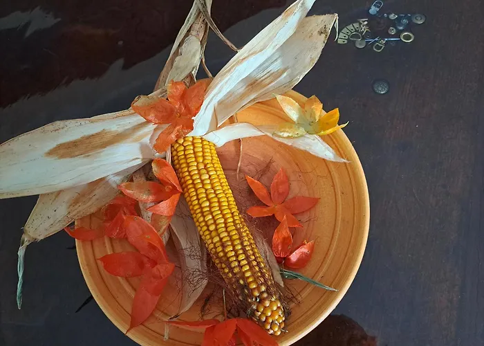 Zur Alten Schusterei 98597 Breitungen An Der Werra Apartment *