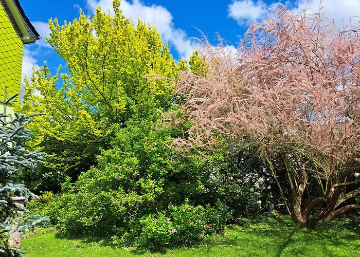 Zur Alten Schusterei 98597 Breitungen An Der Werra Apartment *