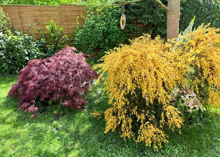 Zur Alten Schusterei 98597 Breitungen An Der Werra *