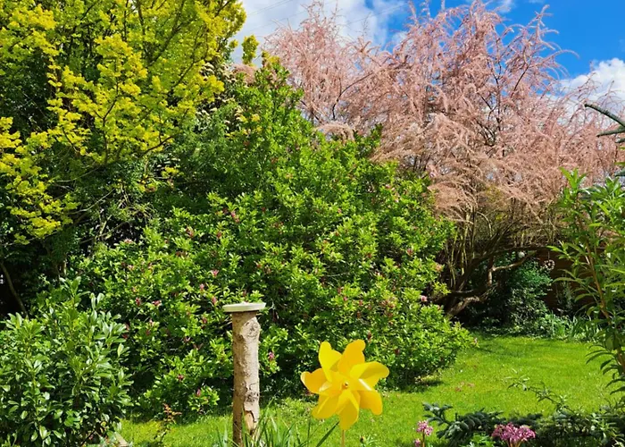 Apartment Zur Alten Schusterei 98597 Breitungen An Der Werra