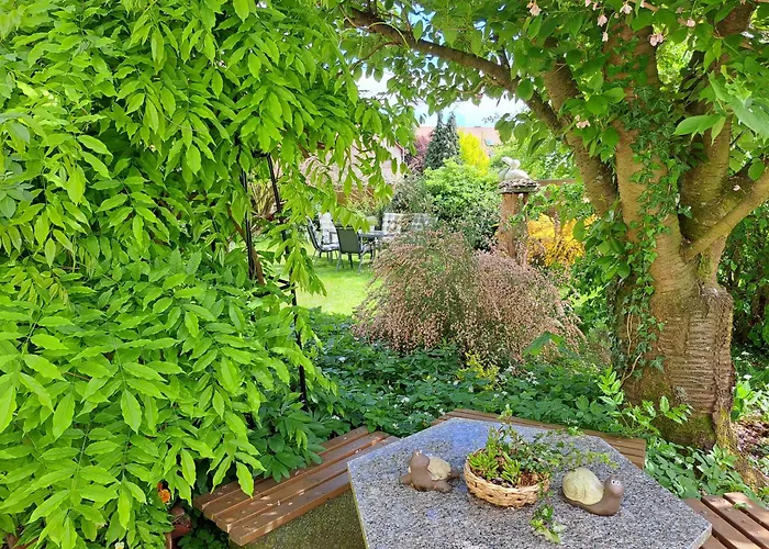 Apartment Zur Alten Schusterei 98597 Breitungen An Der Werra *